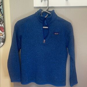 Patagonia Royal Blue Fleece Pullover
